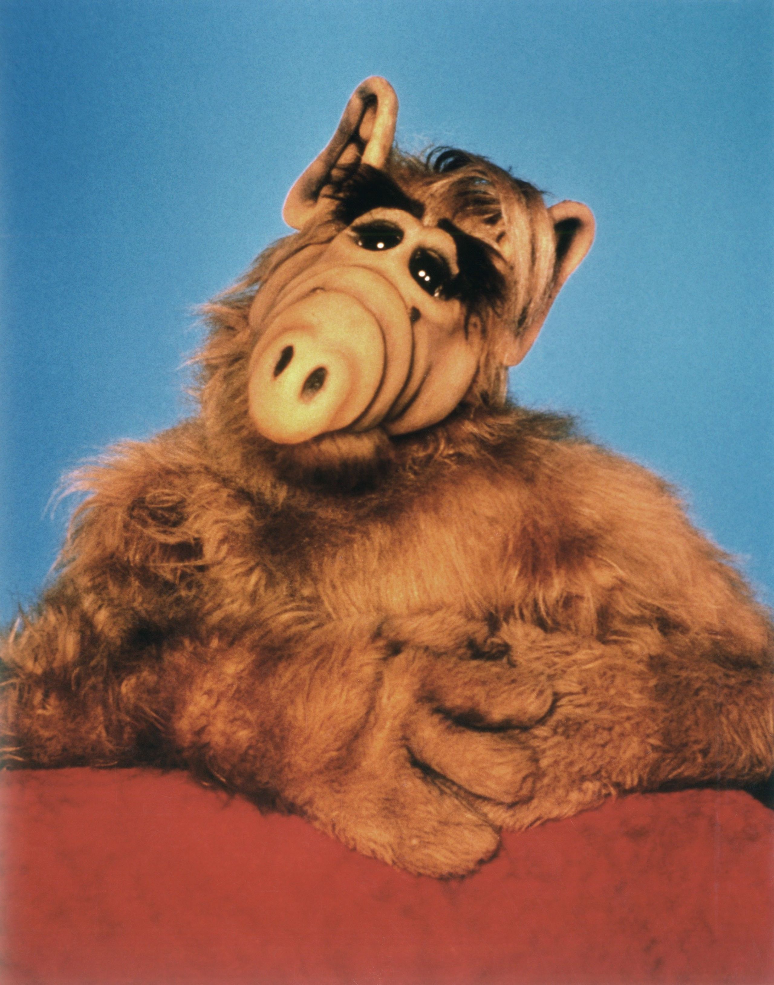 ALF Star, Michu Meszaros, Died at 76