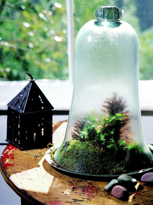 Tabletop Garden Make Your Own Indoor Garden