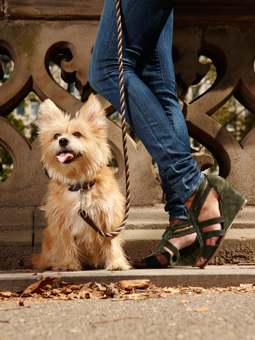 Most Comfortable Walking Shoes For Women - Women Shoes : Fashion